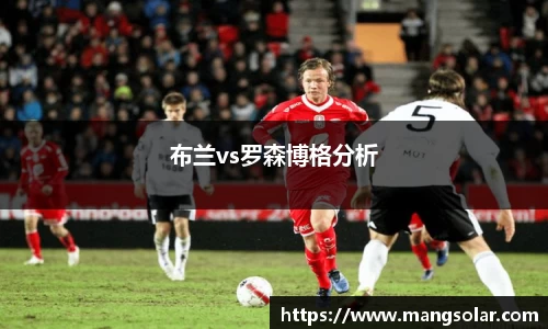 布兰vs罗森博格分析