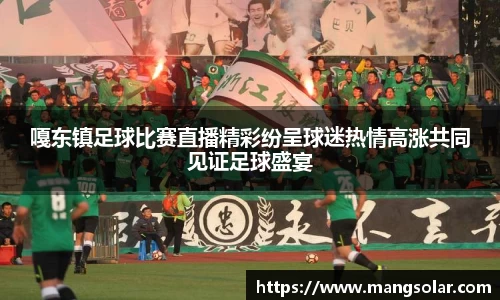 嘎东镇足球比赛直播精彩纷呈球迷热情高涨共同见证足球盛宴